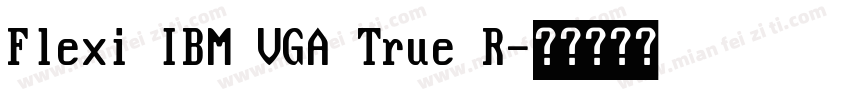Flexi IBM VGA True R字体转换